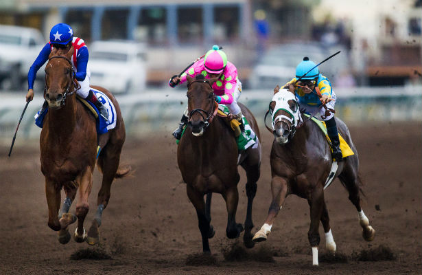 horseracingnation com