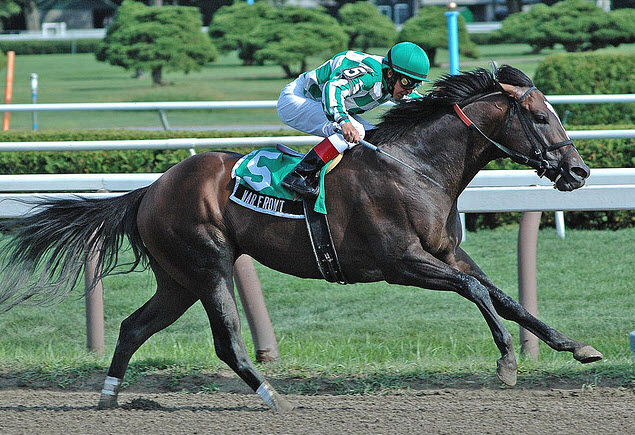 War Front horse